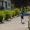 Falunap 2017